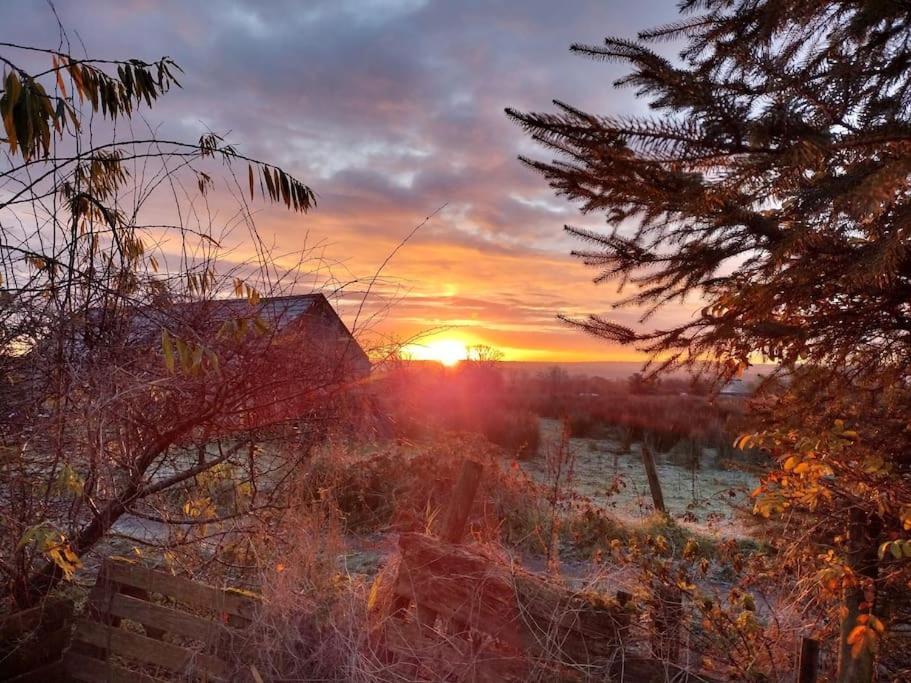 Forest View Cabin Ballaghaderreen Bagian luar foto