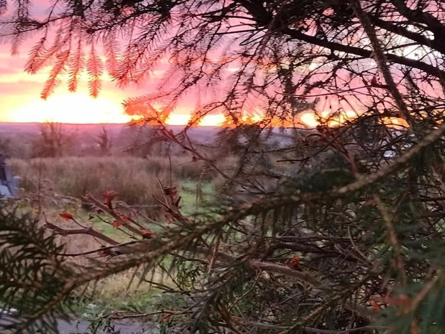 Forest View Cabin Ballaghaderreen Bagian luar foto