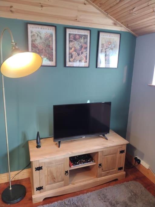 Forest View Cabin Ballaghaderreen Bagian luar foto