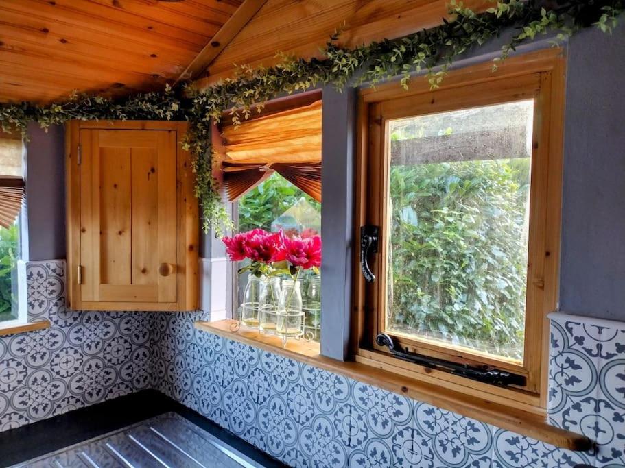 Forest View Cabin Ballaghaderreen Bagian luar foto